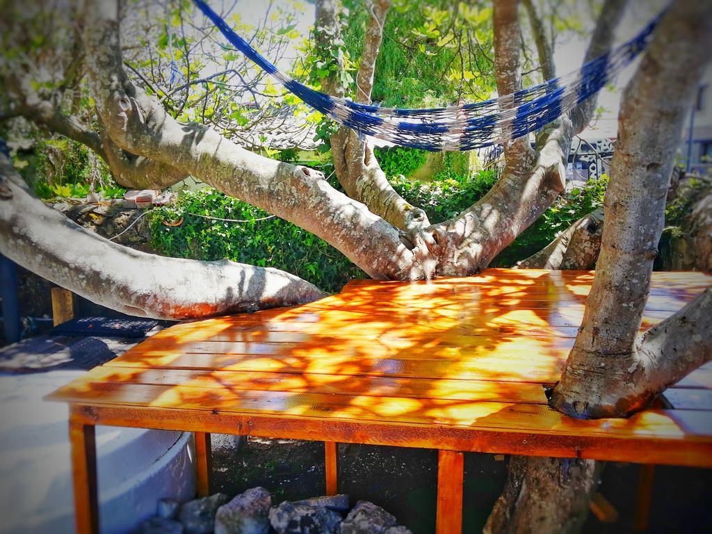 Surftolive House Hostel Somo