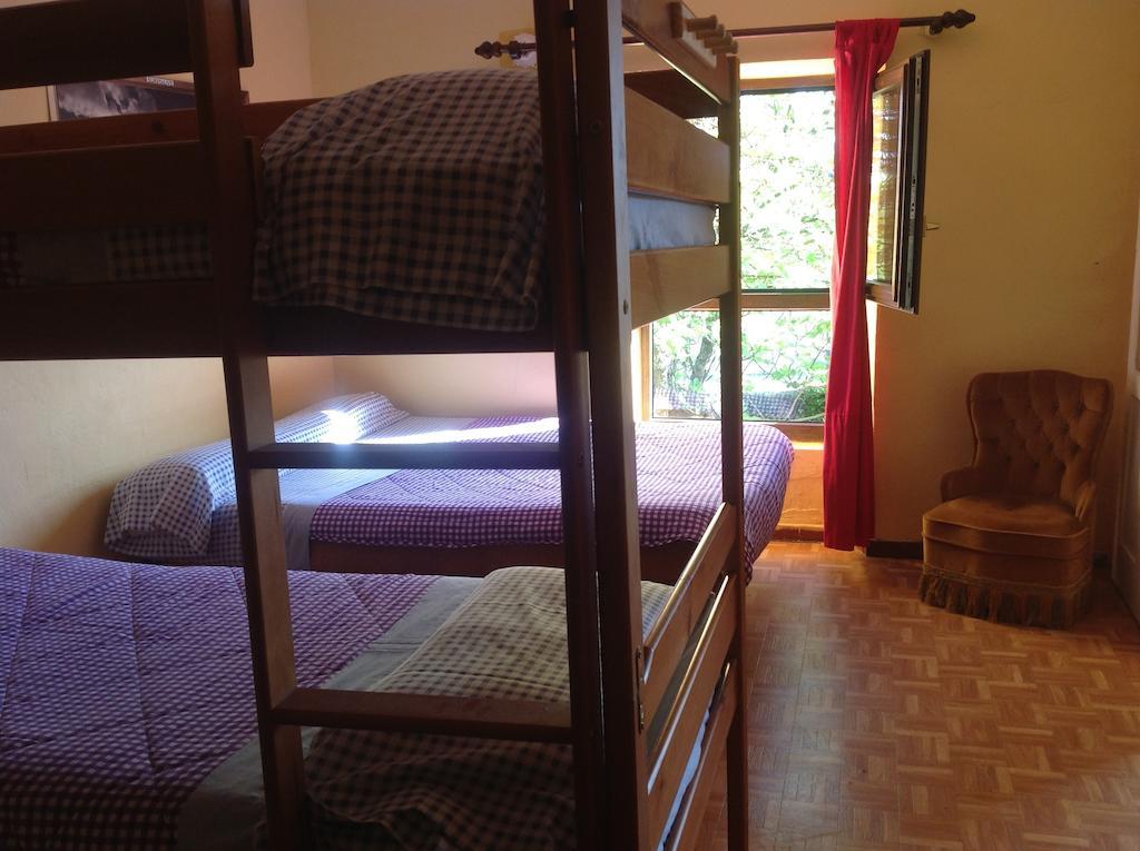 Surftolive House Hostel